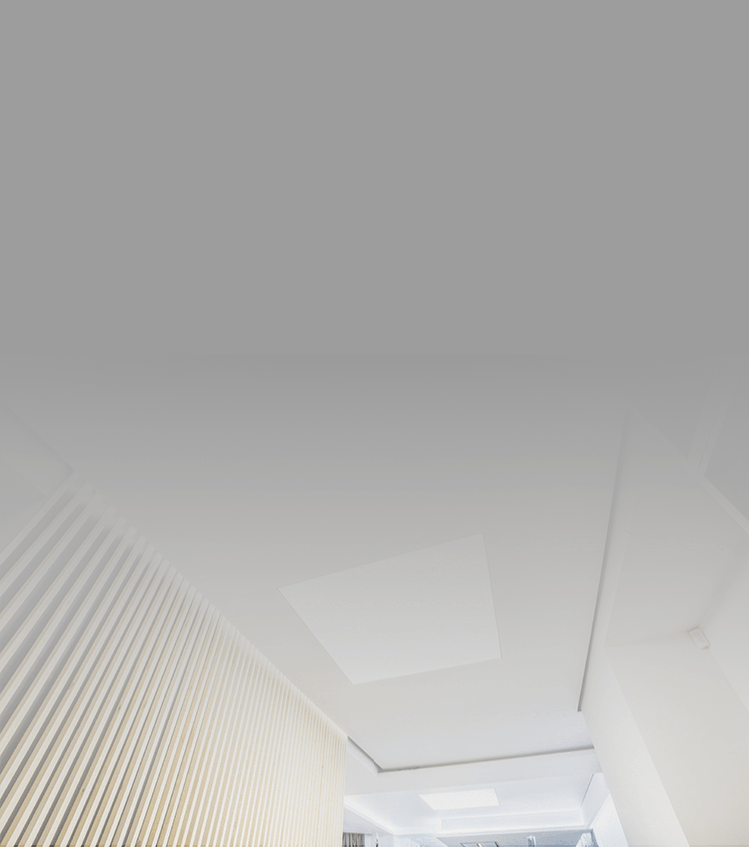 Наша команда